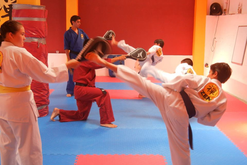 Zen Martial Arts Desierto De Los Leones - Ciudad de México